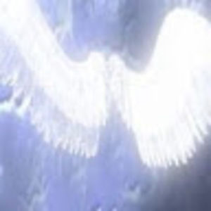 Meet your Posher, Goose